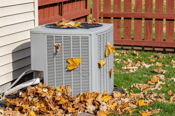 Best Seasonal HVAC Services in Dogtown, CA